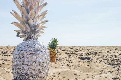 菠萝的海——美丽的度假胜地