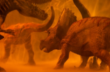 披肩龙：神奇的恐龙化石