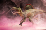 dinosaurs(重磅！中国发现罕见恐龙种类！惊险探险中揭秘！)