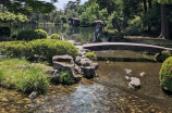 北京莲花池公园：花香盛放的自然乐园