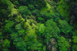芦际潭森林公园：探秘充满诗意的自然世界